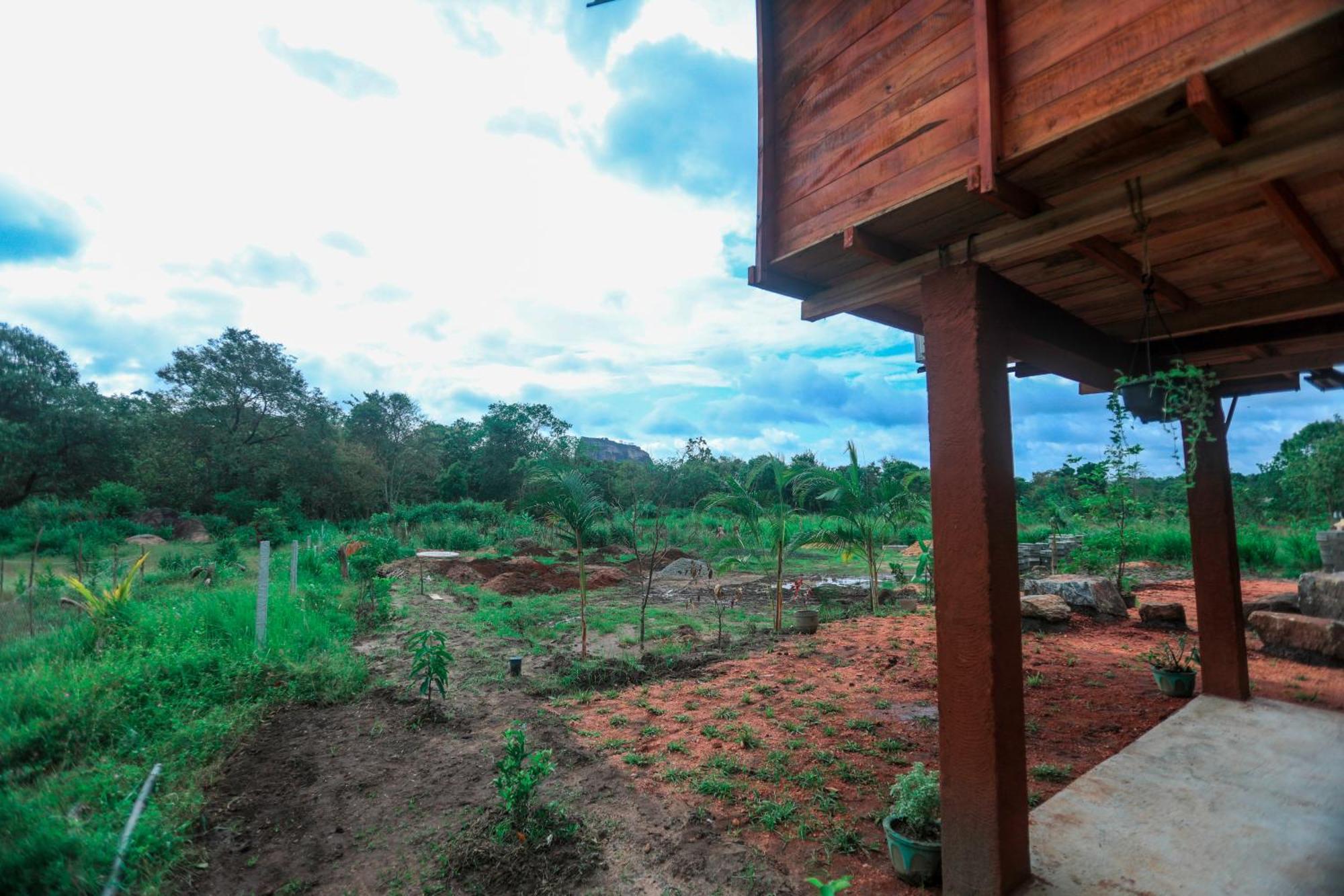 Lion Wood Treehouse Vila Talkote Exterior foto