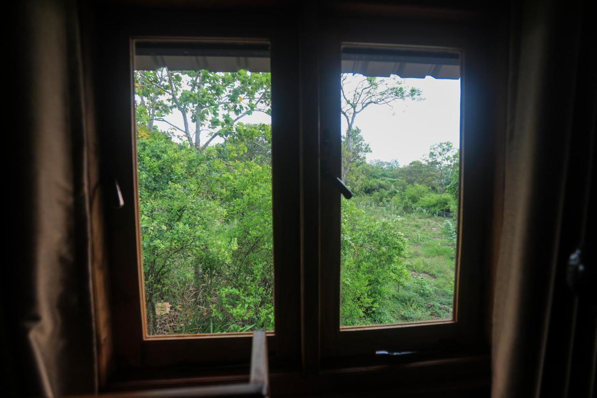 Lion Wood Treehouse Vila Talkote Exterior foto