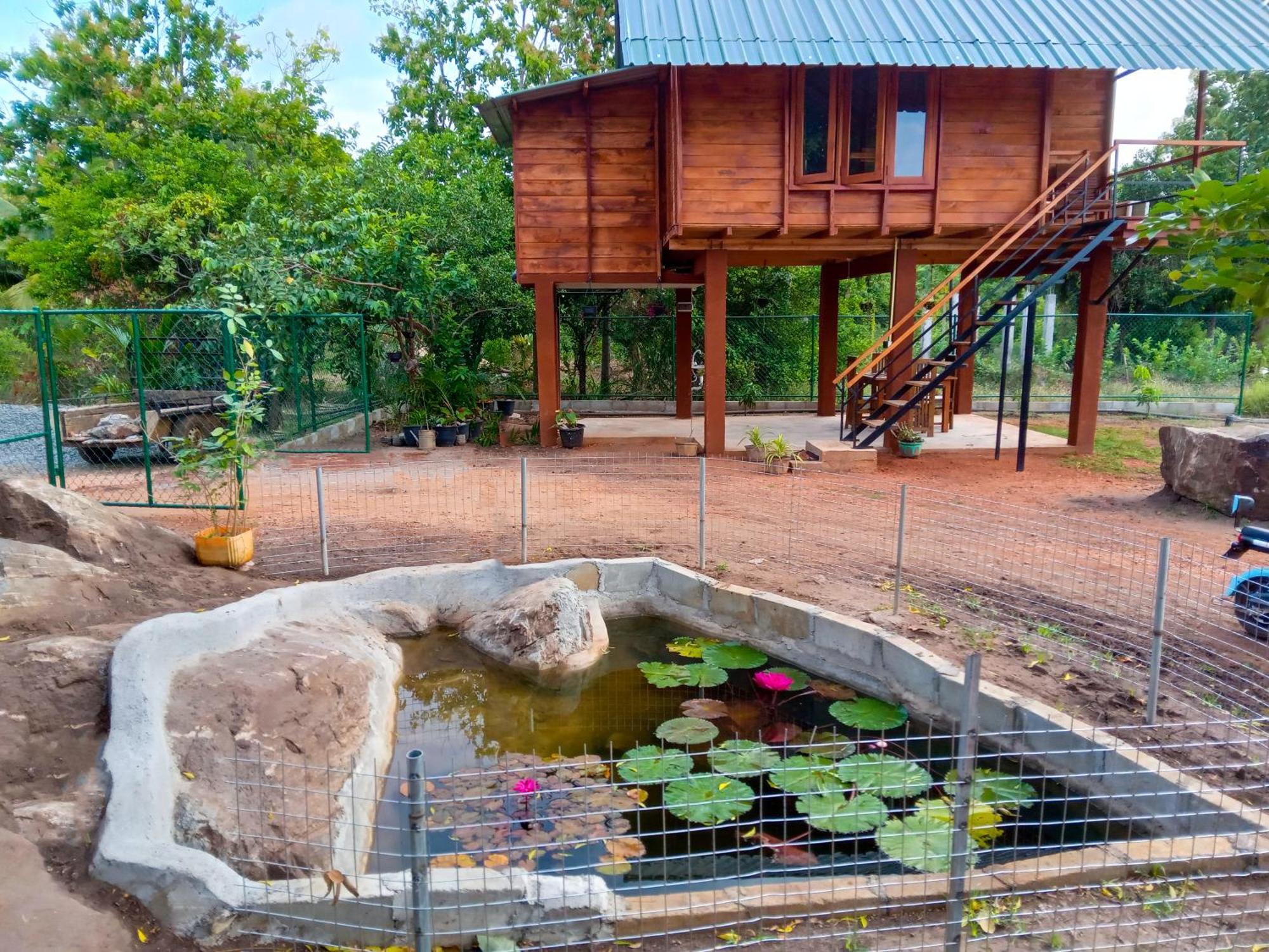 Lion Wood Treehouse Vila Talkote Exterior foto